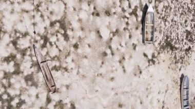 Zanzibar, Tanzanya - kıyıya yakın okyanusta alçak gelgitin dikey videosu, yavaş çekim