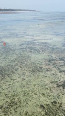 Zanzibar, Tanzanya - kıyıya yakın okyanusta alçak gelgitin dikey videosu, yavaş çekim