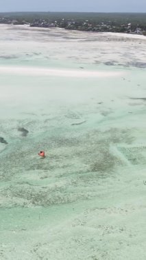 Zanzibar, Tanzanya - kıyıya yakın okyanusta alçak gelgitin dikey videosu, yavaş çekim