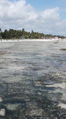 Zanzibar, Tanzanya - kıyıya yakın okyanusta alçak gelgitin dikey videosu, yavaş çekim