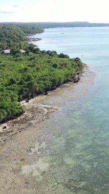 Zanzibar, Tanzanya - kıyıya yakın okyanusun dikey videosu, yavaş çekim