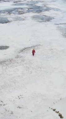 Zanzibar, Tanzanya - kıyıya yakın okyanusun dikey videosu, yavaş çekim