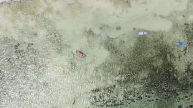 Zanzibar, Tanzania - vertical video of the ocean near the coast, slow motion