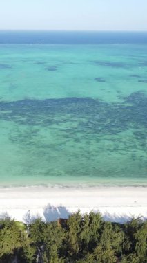 Zanzibar, Tanzanya - kıyıya yakın okyanusun dikey videosu, yavaş çekim