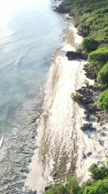 Zanzibar, Tanzanya - kıyıya yakın okyanusun dikey videosu, yavaş çekim