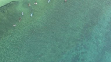 Zanzibar, Tanzanya - kıyıya yakın okyanusun dikey videosu, yavaş çekim