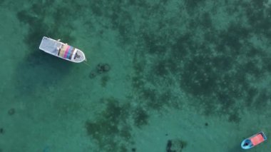 Zanzibar, Tanzania - vertical video of the ocean near the coast, slow motion