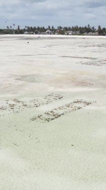 Zanzibar, Tanzanya - kıyıya yakın okyanusun dikey videosu, yavaş çekim