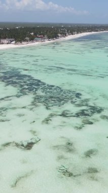 Zanzibar, Tanzanya - kıyıya yakın okyanusun dikey videosu, yavaş çekim