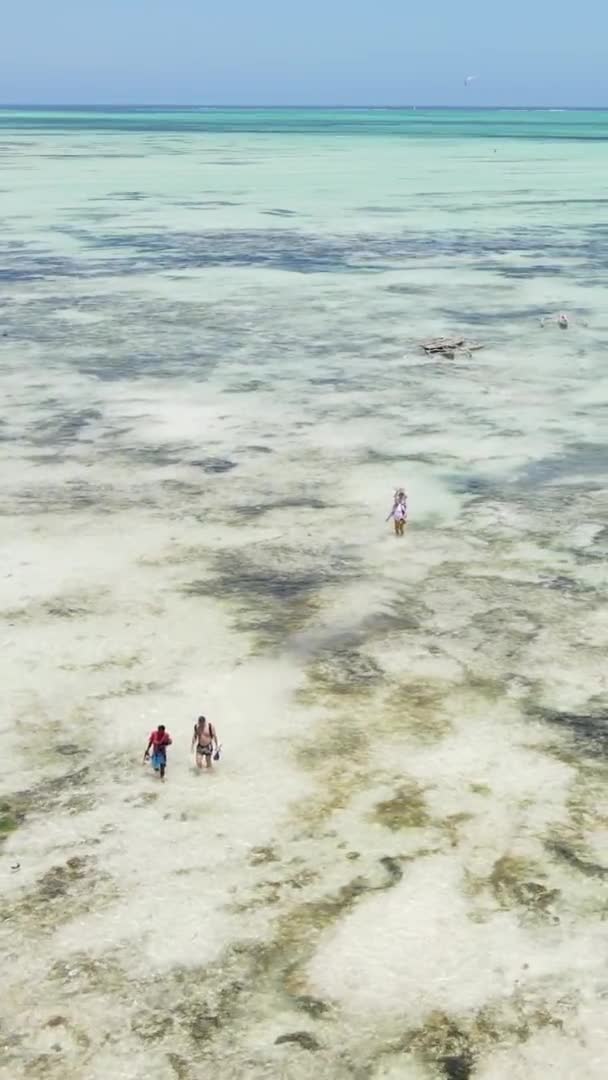 Zanzibar Tanzânia Vídeo Vertical Maré Baixa Oceano Perto Costa Câmera — Vídeo de Stock