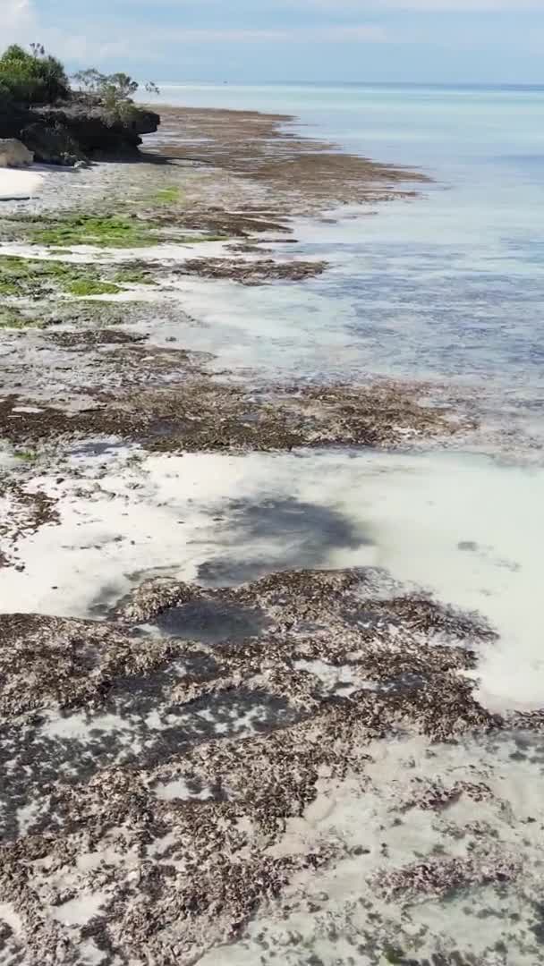Zanzibar Tanzania Vertical Video Low Tide Ocean Coast Slow Motion — Stock Video