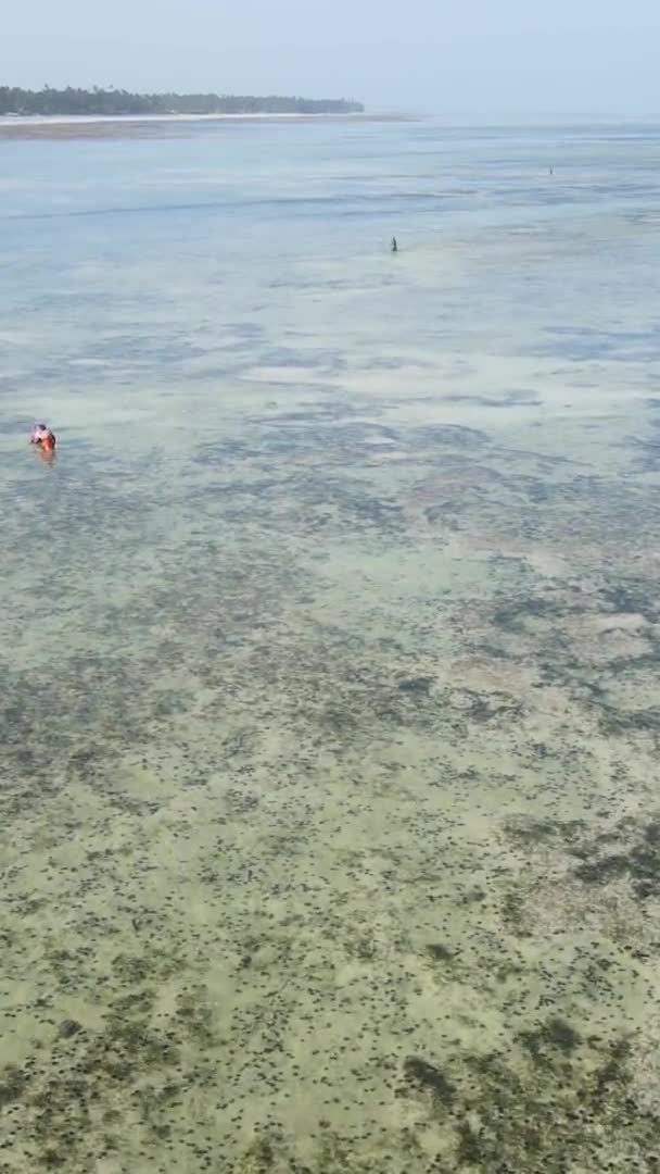 Zanzibár, Tanzánia - függőleges videó apályról az óceán partjainál, lassított felvétel