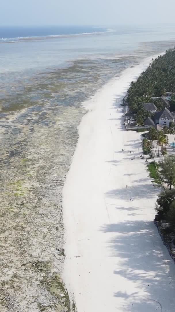 Zanzibar Tanzania Verticale Video Van Laagwater Oceaan Bij Kust Slow — Stockvideo