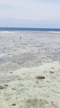 Zanzibar, Tanzanya - kıyıya yakın okyanusun dikey videosu, yavaş çekim