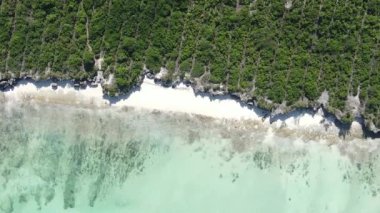 Zanzibar, Tanzanya - kıyıya yakın okyanusun dikey videosu, yavaş çekim