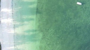 Zanzibar, Tanzanya - kıyıya yakın okyanusun dikey videosu, yavaş çekim