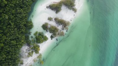 Zanzibar, Tanzanya - kıyıya yakın okyanusun dikey videosu, yavaş çekim