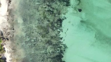 Zanzibar, Tanzanya - kıyıya yakın okyanusun dikey videosu, yavaş çekim