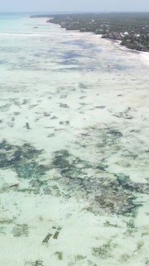 Zanzibar, Tanzanya - kıyıya yakın okyanusun dikey videosu, yavaş çekim