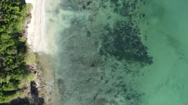 Zanzibar, Tanzanya - kıyıya yakın okyanusun dikey videosu, yavaş çekim