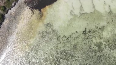Zanzibar, Tanzanya - kıyıya yakın okyanusun dikey videosu, yavaş çekim