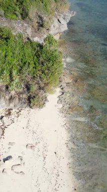 Zanzibar, Tanzanya - kıyıya yakın okyanusun dikey videosu, yavaş çekim