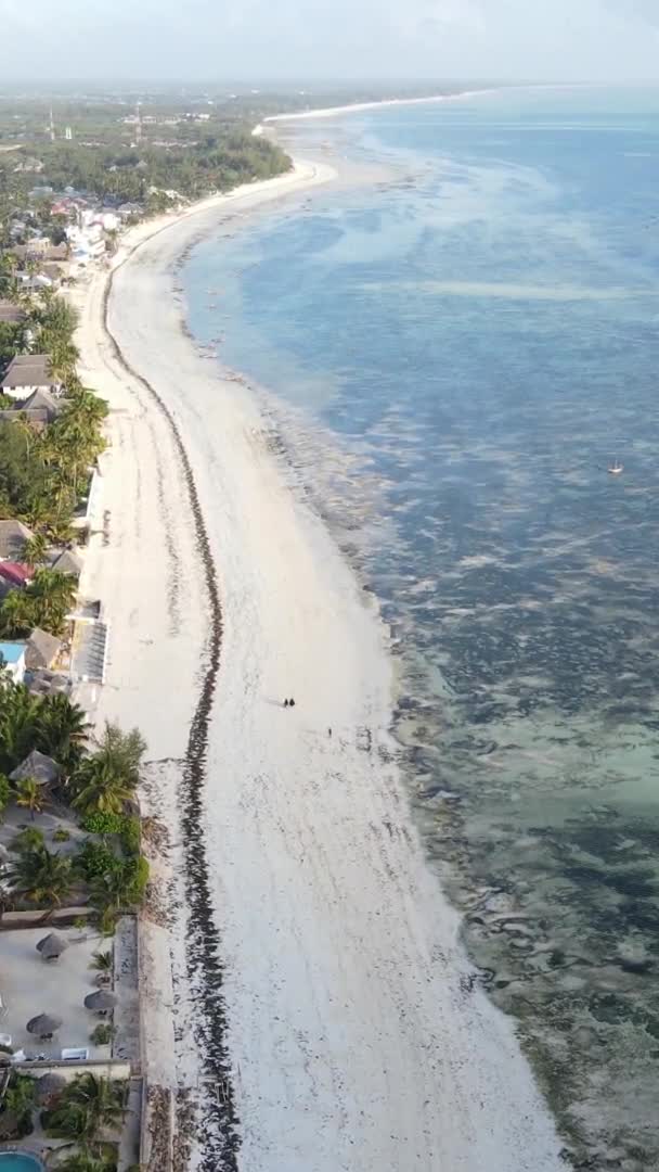 Zanzibar Tanzania Vertical Video Ocean Coast Slow Motion — 图库视频影像