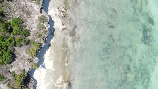 Zanzibar Tanzania Vertical Video Ocean Coast Slow Motion — Stock videók