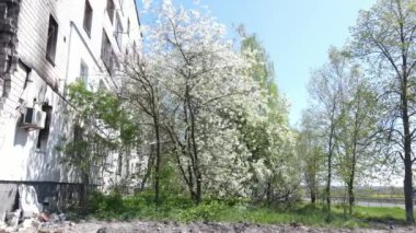 Ukrayna, Borodyanka - yıkılmış konut binası