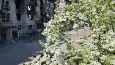 Ukrayna, Borodyanka - yıkılmış konut binası