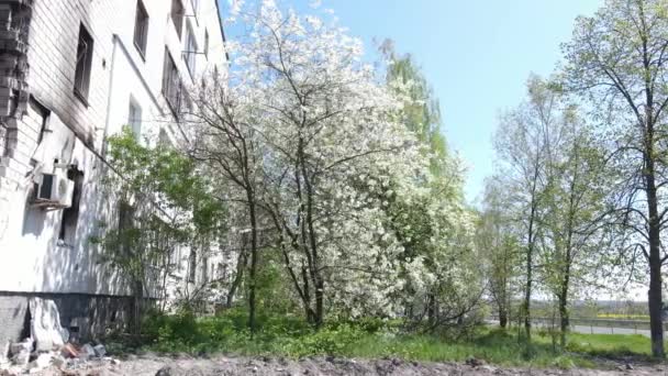 Ukrajna Borodjanka Lerombolt Lakóépület — Stock videók