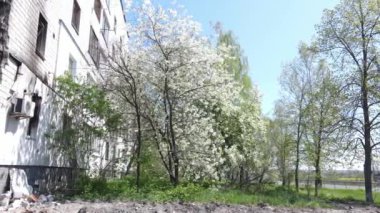 Savaşın sonuçları - Ukrayna, Borodyanka 'da yıkık dökük konut binası