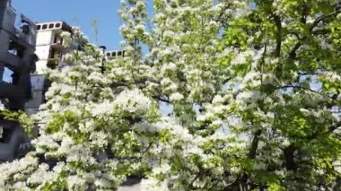 Savaşın sonuçları - Ukrayna, Borodyanka 'da yıkık dökük konut binası