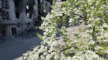 Ukrayna 'nın Kyiv bölgesindeki Borodyanka' daki harabe konut binası