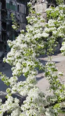 Ukrayna 'nın Kyiv bölgesindeki Borodyanka' daki harabe konut binası