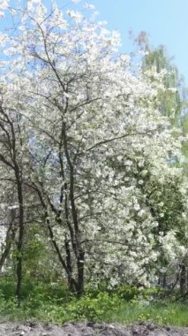 Ukrayna 'nın Kyiv bölgesindeki Borodyanka' daki harabe konut binası