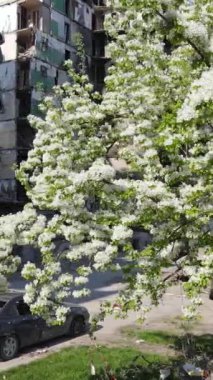 Ukrayna 'nın Kyiv bölgesindeki Borodyanka' daki harabe konut binası