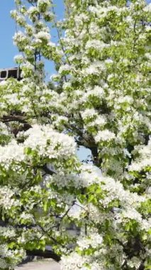 Ukrayna 'nın Kyiv bölgesindeki Borodyanka' daki harabe konut binası