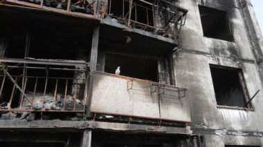 Ukrayna, Kyiv 'de yanmış ve yıkılmış bir ev.