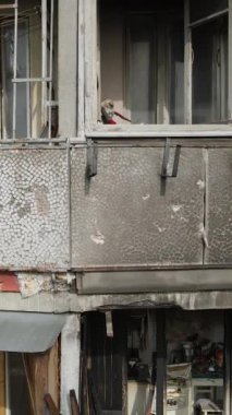 Ukrayna, Kyiv 'de yanmış ve yıkılmış bir evin dikey videosu