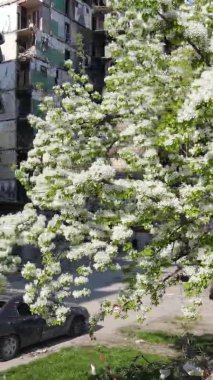 Borodyanka, Ukrayna 'da yıkılmış bir binanın dikey videosu