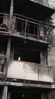 Ukrayna, Kyiv 'de yanmış ve yıkılmış bir evin dikey videosu