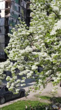 Borodyanka, Ukrayna 'da yıkılmış bir binanın dikey videosu