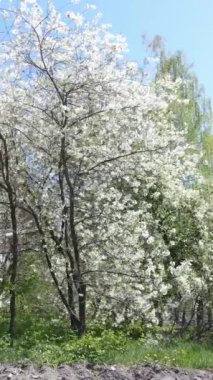 Borodyanka, Ukrayna 'da yıkılmış bir binanın dikey videosu