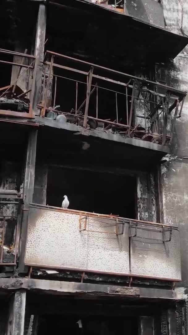 Vídeo Vertical Una Casa Quemada Destruida Kiev Ucrania — Vídeo de stock