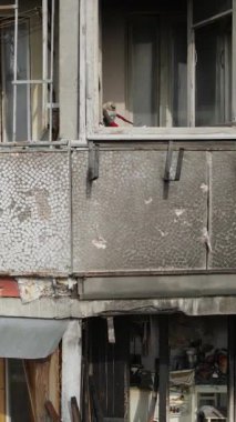 Ukrayna, Kyiv 'de yanmış ve yıkılmış bir evin dikey videosu