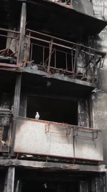 Ukrayna, Kyiv 'de yanmış ve yıkılmış bir evin dikey videosu