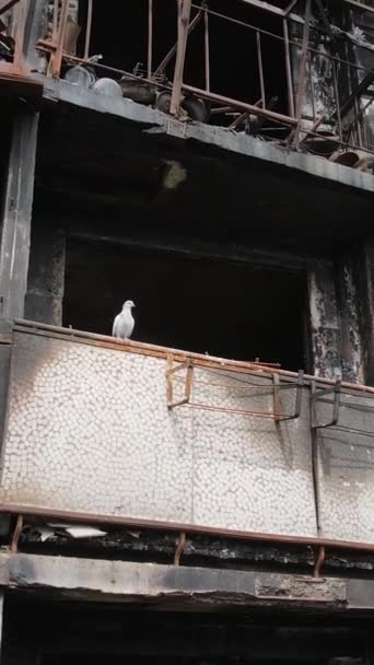 Lodret Video Brændt Ødelagt Hus Kiev Ukraine – Stock-video