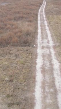 Sonbaharda tarladan geçen bir yolun dikey videosu