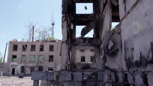 Este Vídeo Mostra Consequências Guerra Ucrânia Edifício Residencial Destruído Borodyanka — Vídeo de Stock